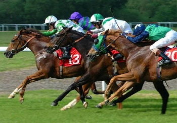 horse-race