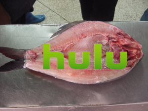 Hulu