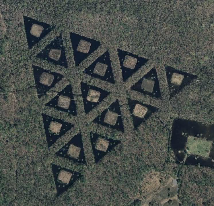 Triforce in the woods