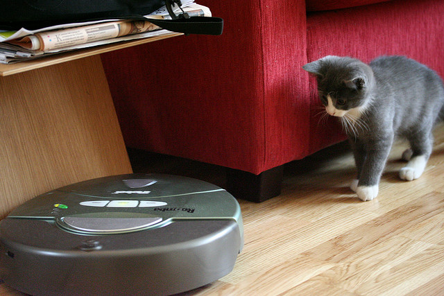Do you think of a Roomba when you envision a smart robot?