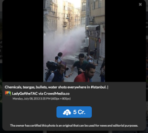 CrowdMedia photo 2