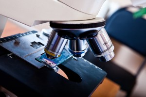 microscope science