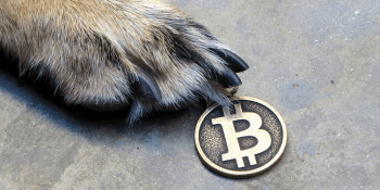Poll: Would you buy Bitcoin?