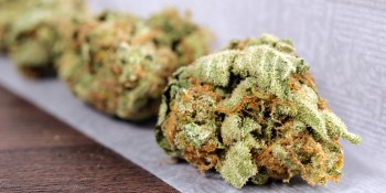 Washington pot shops high on Bitcoin