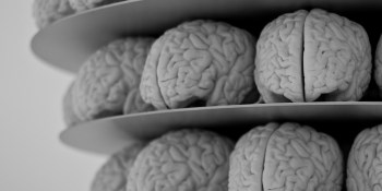 Brain trainer Memorado stealthily collects $1.3 million in funding, 1 million users