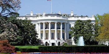 Partnering with government to tackle big problems: 5 things entrepreneurs need to know