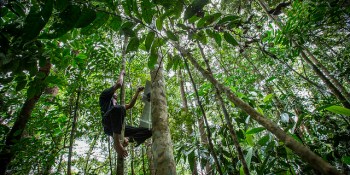 Rainforest-monitoring project hits Kickstarter goal early, ups the ante with tribal deals