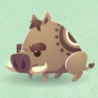 Boar