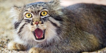 Here’s what the tech industry says were the 10 dumbest things that happened in 2014