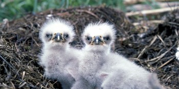 Enterprise social media management tools are leaving the marketing nest, according to TrustRadius