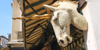 Marketing-tech unicorns show lower risk than their peers