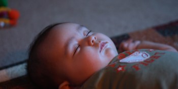 I only shared pictures of dogs, cats and babies for one week on Facebook. Here’s what I learned.