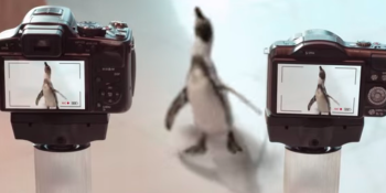 One of these online video ads will win Virool’s contest and get to defy gravity