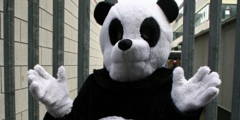 Pandas suits and drive-bys: Do’s and don’ts for pitching investors