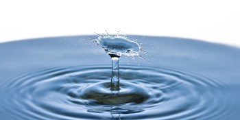 Pani raises $1 million to minimize water waste