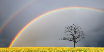 Shine pivots from network-level ad blocking, rebrands as Rainbow to focus on verifying quality ads