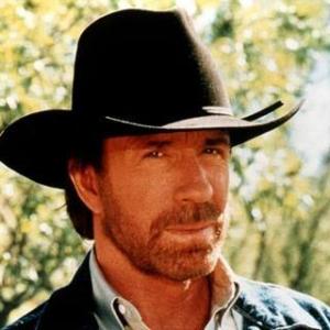 chuck norris bot