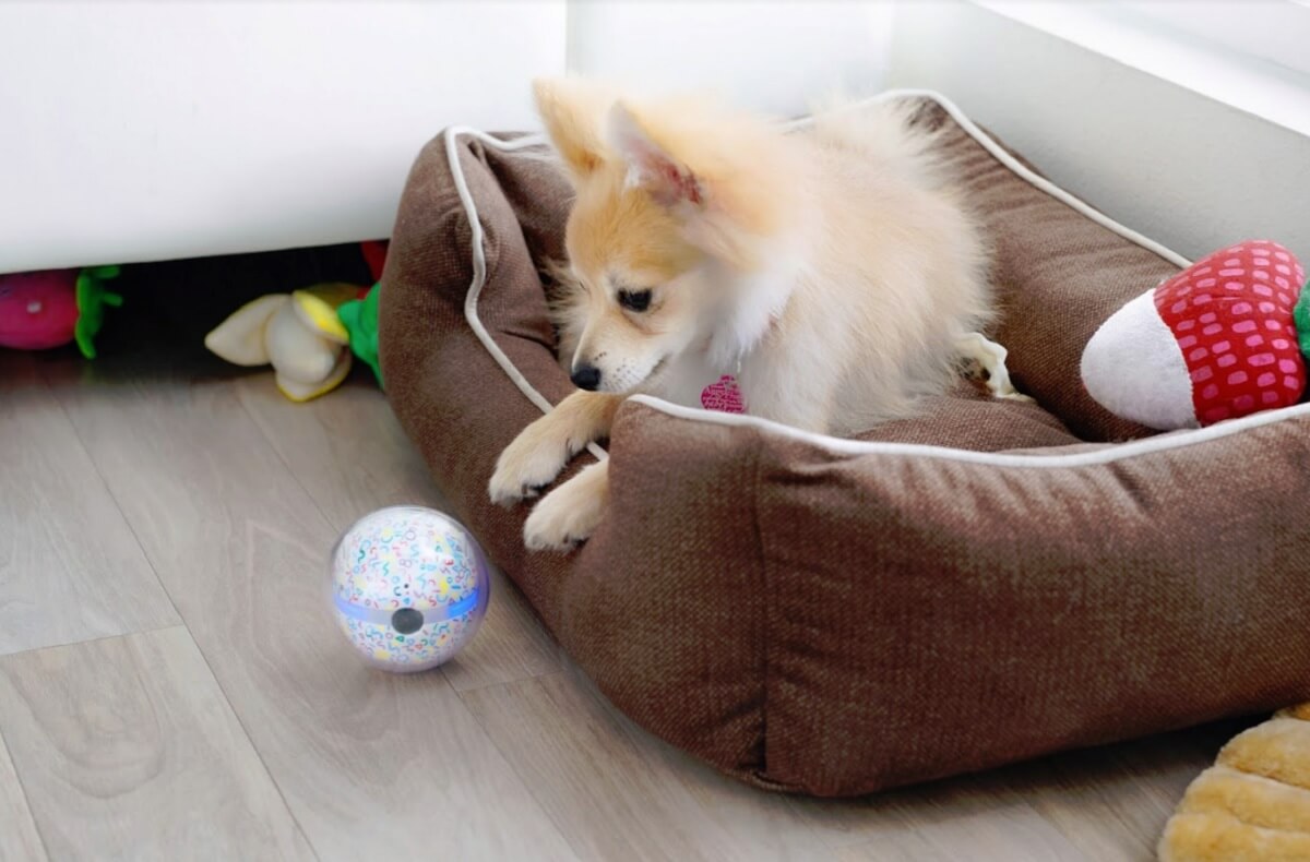 Pebby helps you stay in touch with your pet.