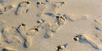 Researchers train AI to identify people from their footsteps
