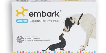 Fetching DNA: Embark raises $4.5 million for canine version of 23andMe