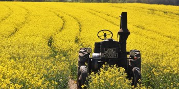 10 AI startups blossoming beyond Silicon Valley