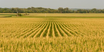Farmers face vendor lock-in as agriculture goes digital