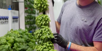 Kimbal Musk’s vertical farming startup Square Roots raises $5.4 million
