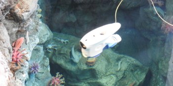 Blueye Robotics’ Pioneer could be an awesome drone for underwater tourism