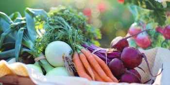 AI is facing the same labeling issue as organic vegetables