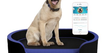 Petrics’s smart bed monitors your pets’ health