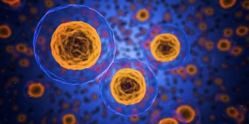 CytoReason uses AI to personalize drugs, opening the door to cancer treatments