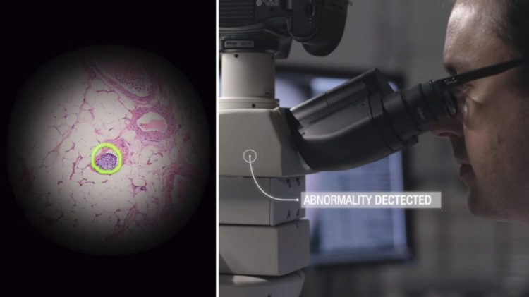 Google mixes AR and machine learning to help researchers find cancer cells. 