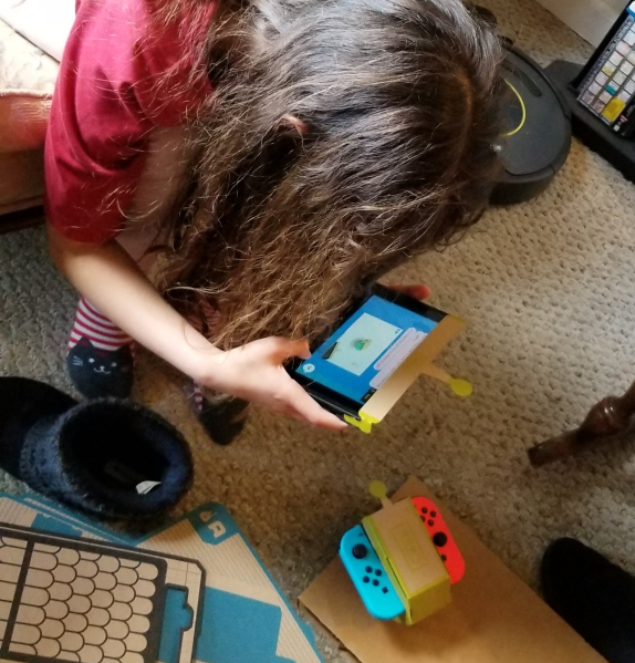 Driving a Nintendo Labo RC car