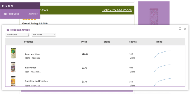 Richrelevance dashboard