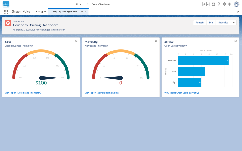 Salesforce Einstein Voice