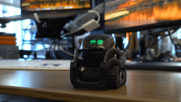 Anki Vector