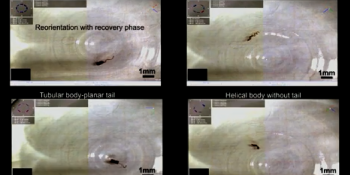 Researchers develop flexible nanobots to deliver drugs inside your body