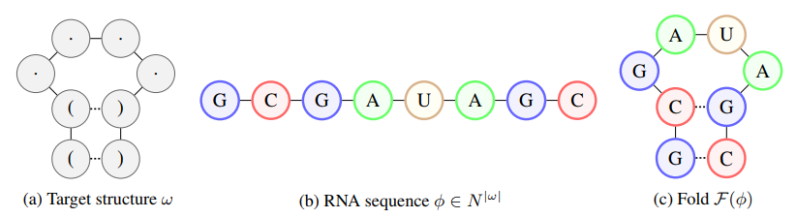 RNA AI