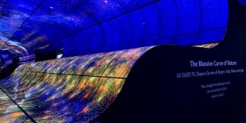 At CES 2019, bendy and tiny screens evolved from concepts to exciting tech