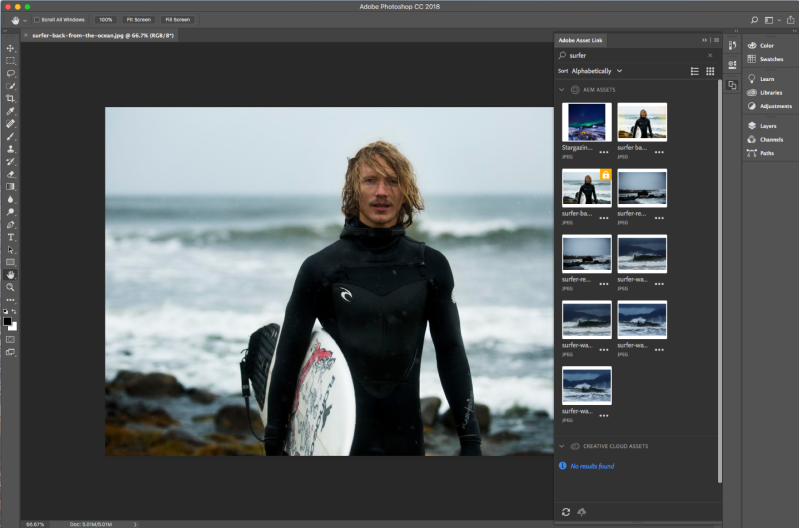 Adobe Asset Link