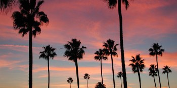 AI Weekly: ICML 2019 top papers and highlights