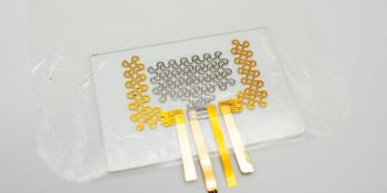Researchers develop e-tattoo heart monitor with ECG and SCG sensors