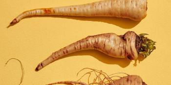 Misfits Market raises $16.5 million to find homes for ugly food