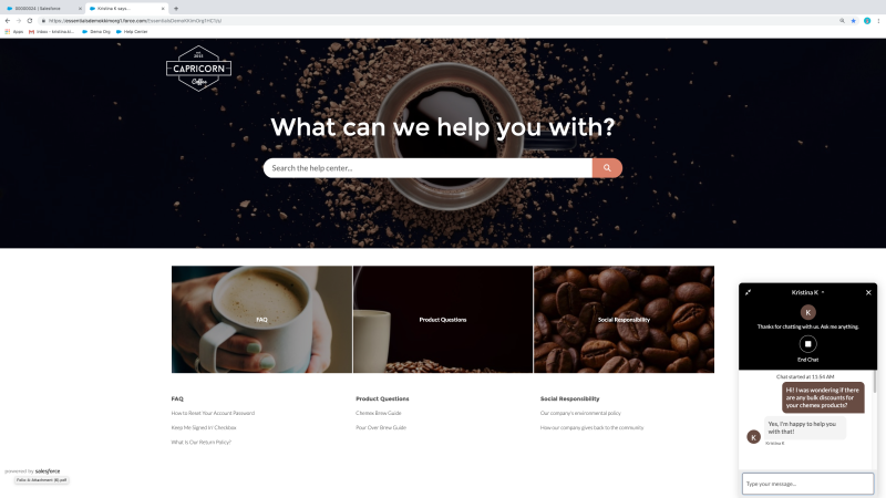 Salesforce Essentials Web chat in Help Center