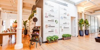 Knotel raises $400 million to lease and manage flexible working spaces