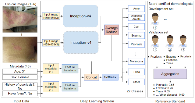 Google AI skin conditions