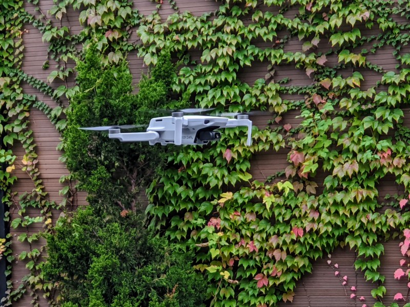 DJI Mavic Mini