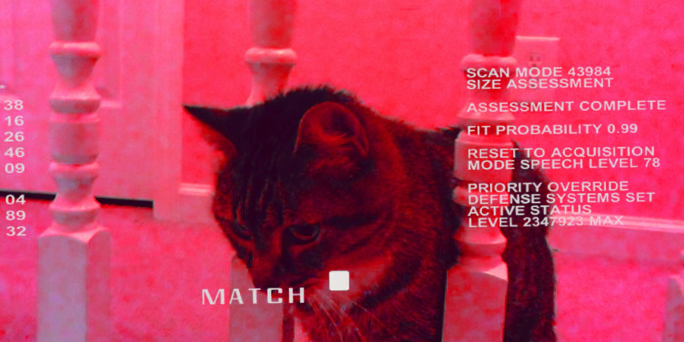 The Windows Apps team at Microsoft created a Terminator Vision HUD for HoloLens. It mightn't seem cute in the future.