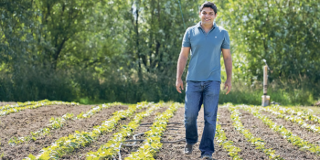 With FarmBeats, Microsoft makes a play for the agriculture market