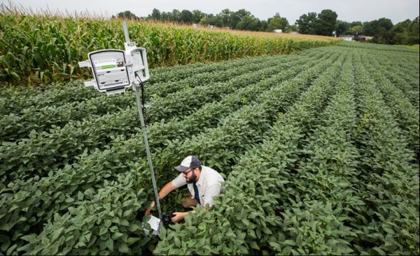 Microsoft FarmBeats